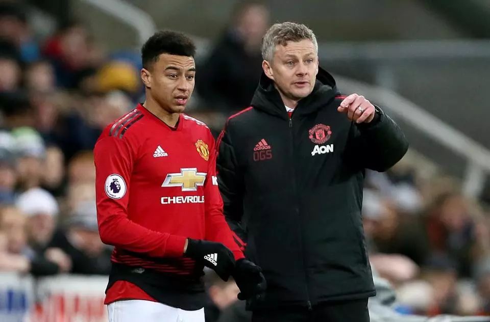 育明星的期 育明星的期